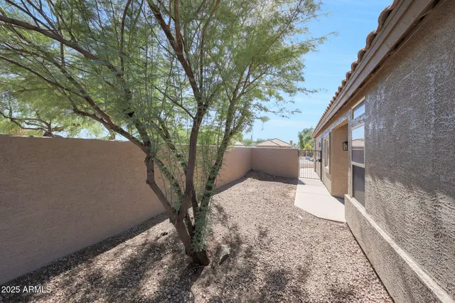 a view of backyard with large trees