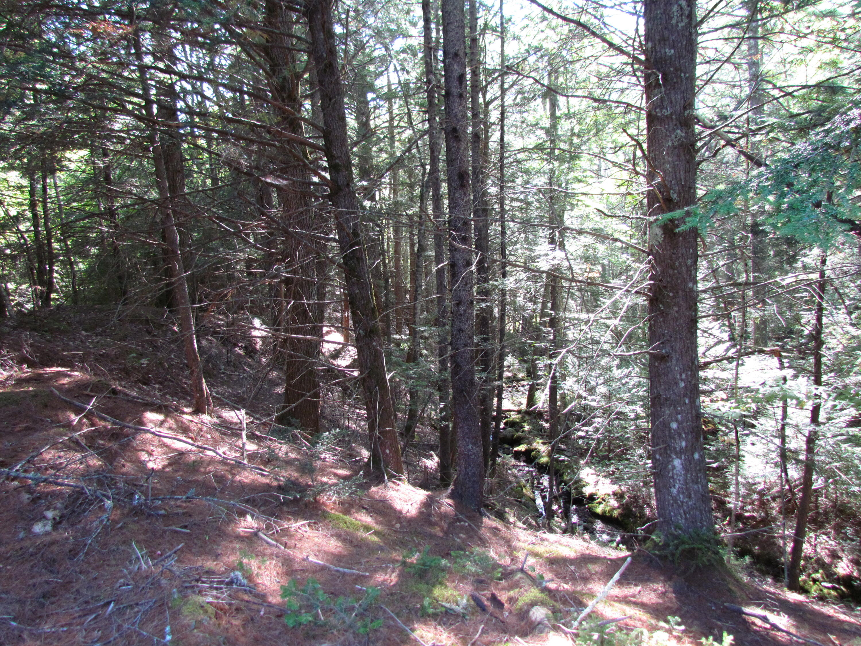 427 Old County Road Waldoboro, ME 04572 - Photo 15 of 16 Beaverdam Brook