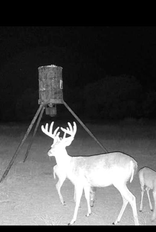 225 County Road 225 Rising Star, TX 76471 - Photo 33 of 36 game cam