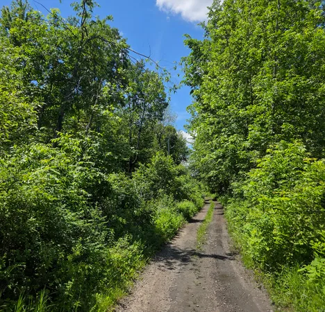 $100,500 | 0 Mill Road, Moira, NY 12957