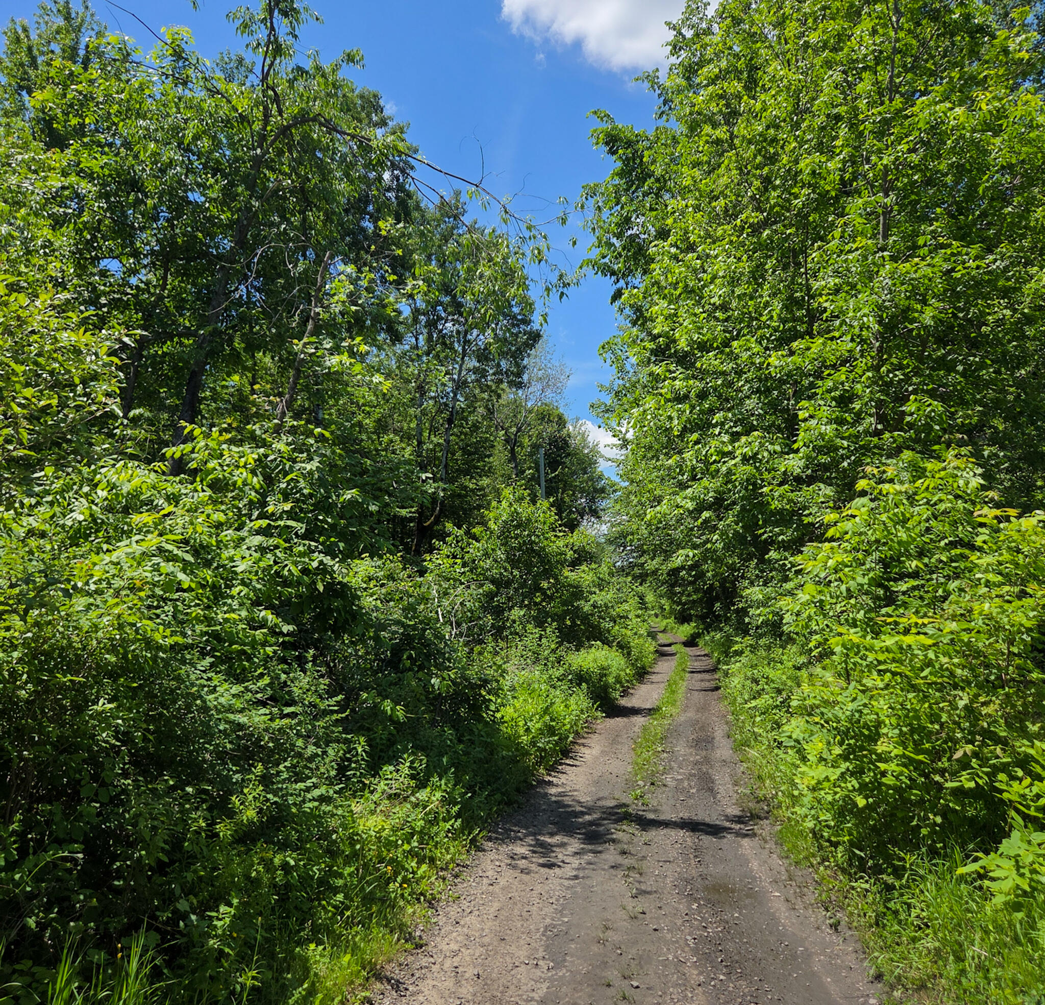 0 Mill Road Moira, NY 12957 - Photo 1 of 6
