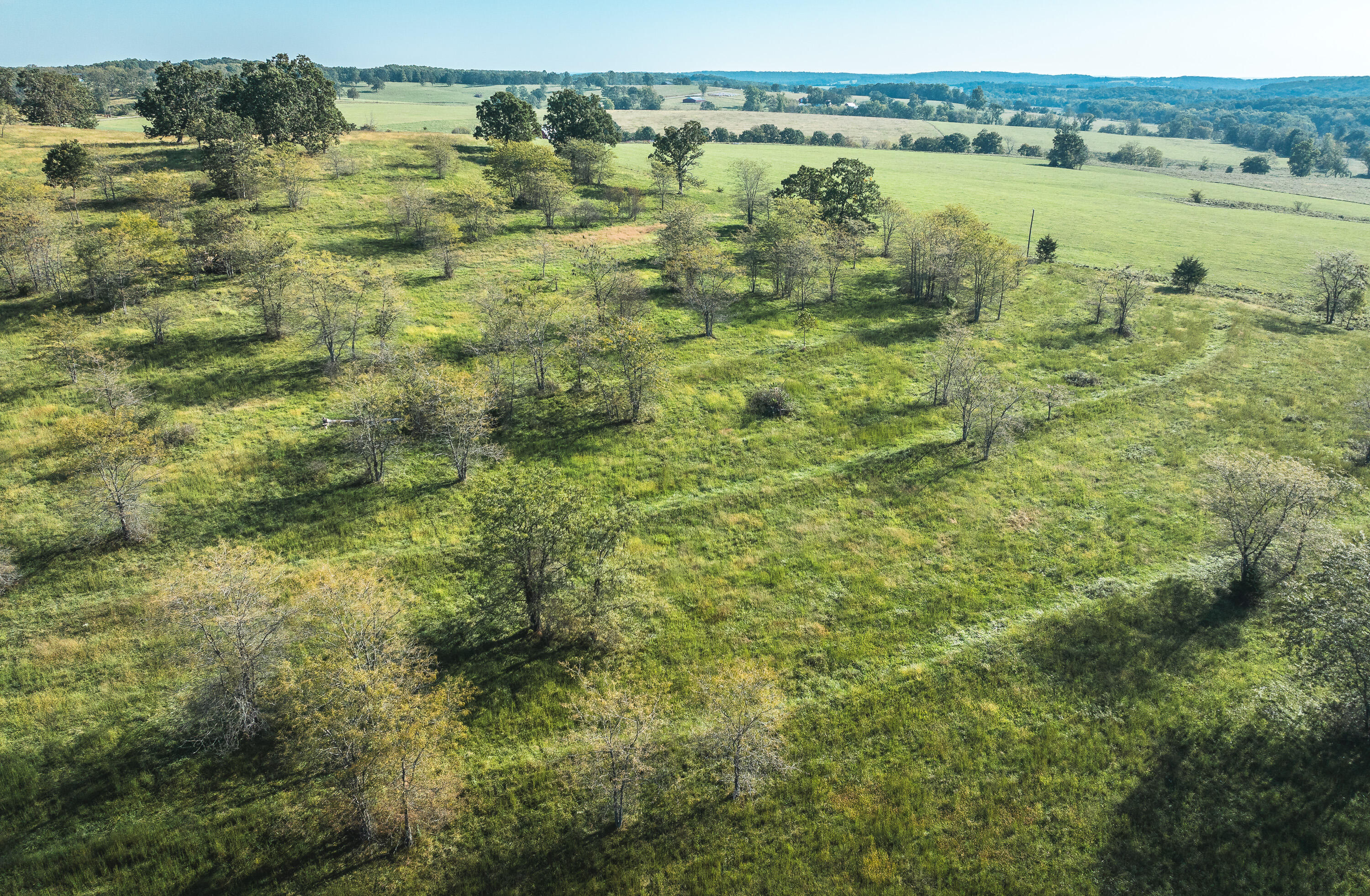 5451 Bado Road Cabool, MO 65689 - Photo 50 of 111 DJI_20240919092531_0154_D