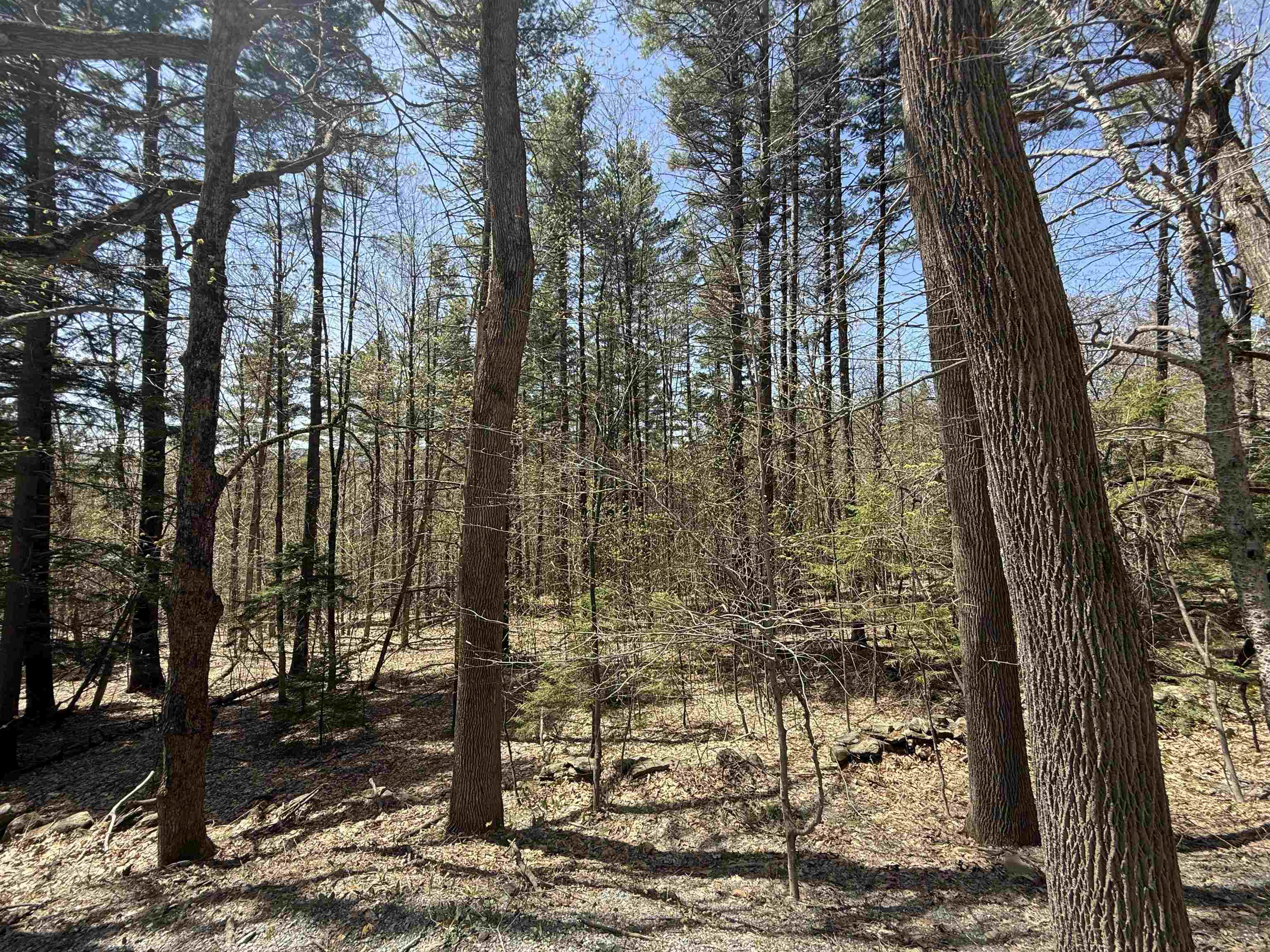 Lot 3 North Street, Unit 45 Dover, VT 05341 - Photo 1 of 10