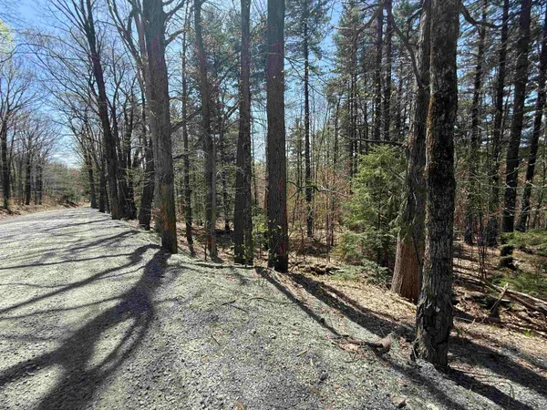 $88,000 | Lot 3 North Street, Unit 45, Dover, VT 05341