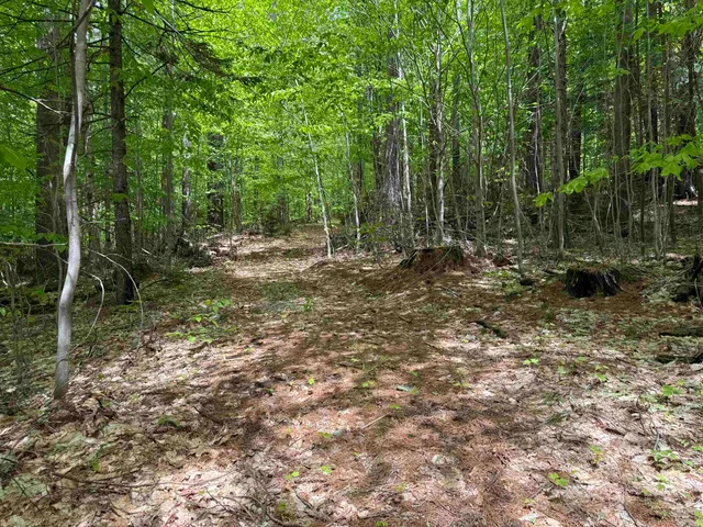 $90,000 | Lot 3 North Street, Unit 45, Dover, VT 05341