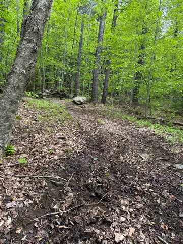 $90,000 | Lot 3 North Street, Unit 45, Dover, VT 05341