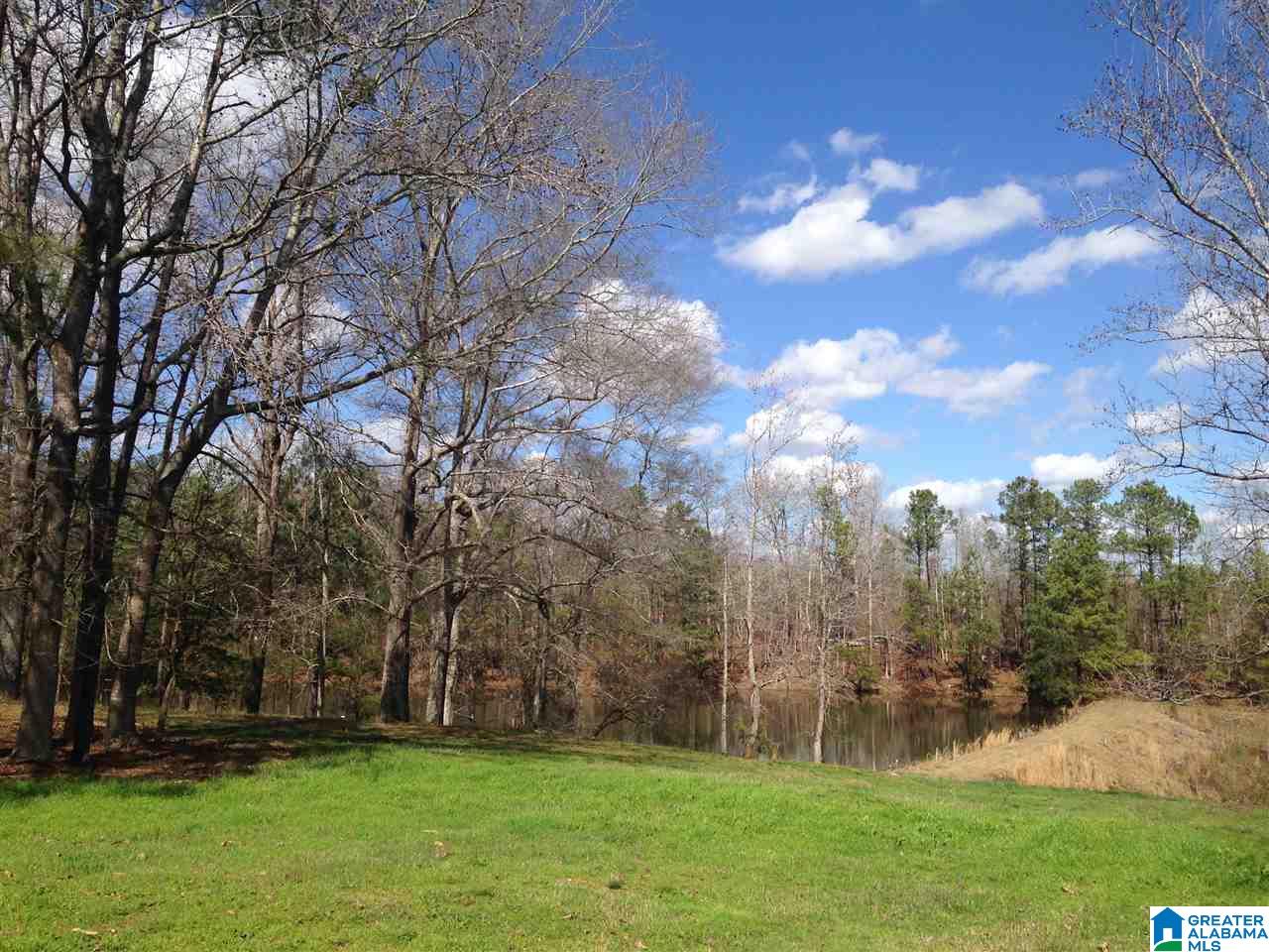 6007 County Road 41 Clanton, AL 35046 - Photo 2 of 37