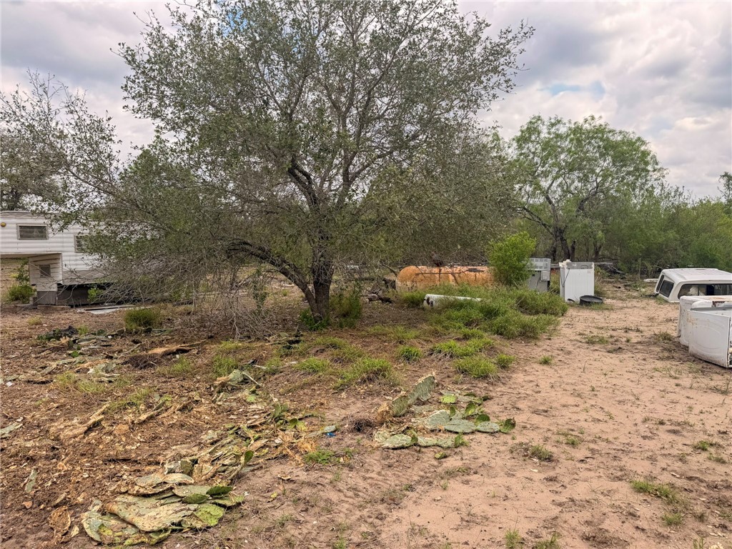 3250 Highway 281 George West, TX 78022 - Photo 4 of 5