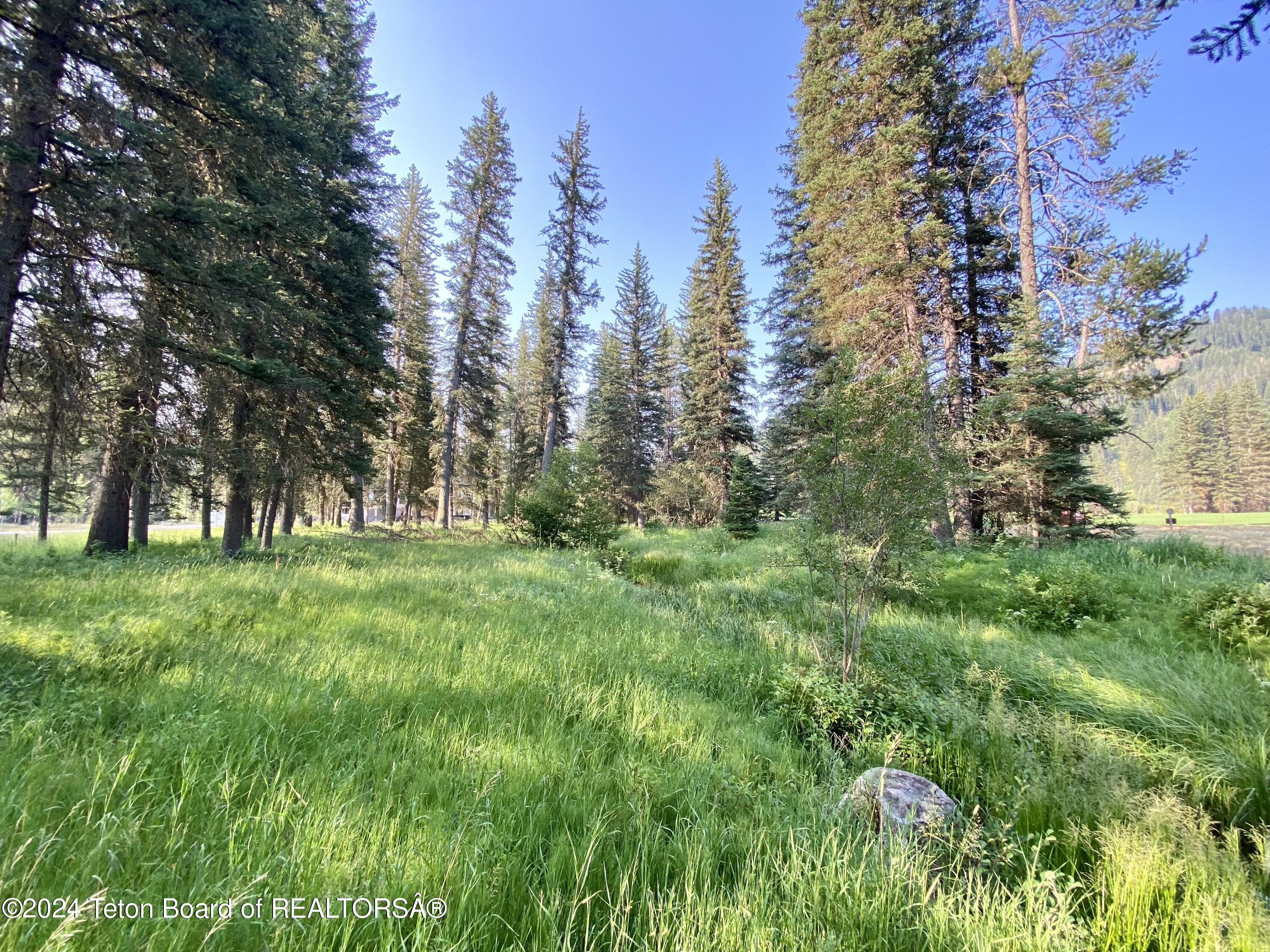 15465 Wagon Road Jackson, WY 83001 - Photo 1 of 1 Lot 35 13