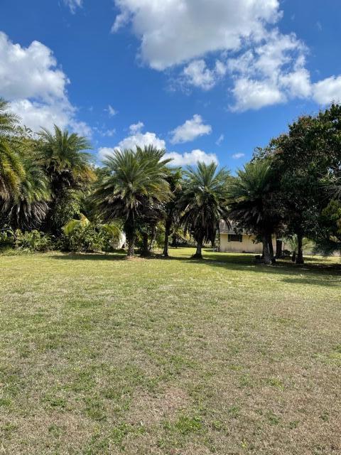 5426 Colbright Road Lake Worth, FL 33467 - Photo 4 of 6 Nearly 50 Beautiful Sylvester Palms