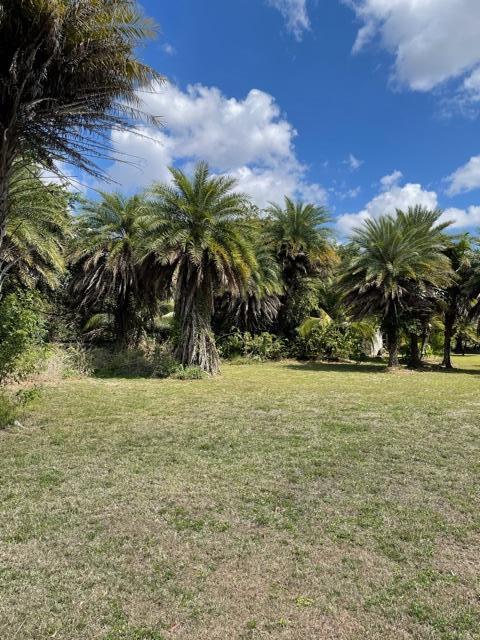 5426 Colbright Road Lake Worth, FL 33467 - Photo 5 of 6 Lots of trees
