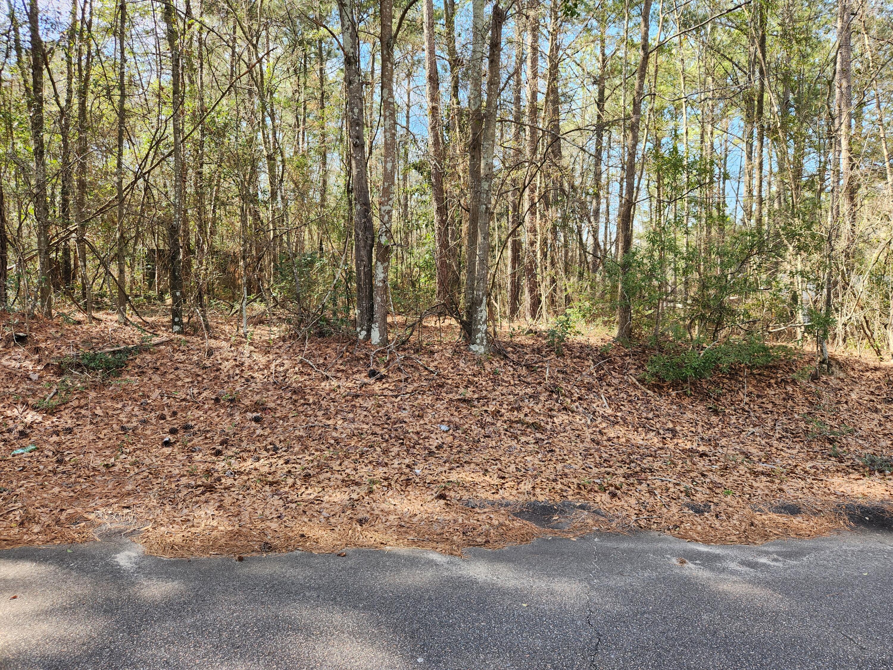 0 Lloydtown Road Aiken, SC 29801 - Photo 1 of 1 Primary