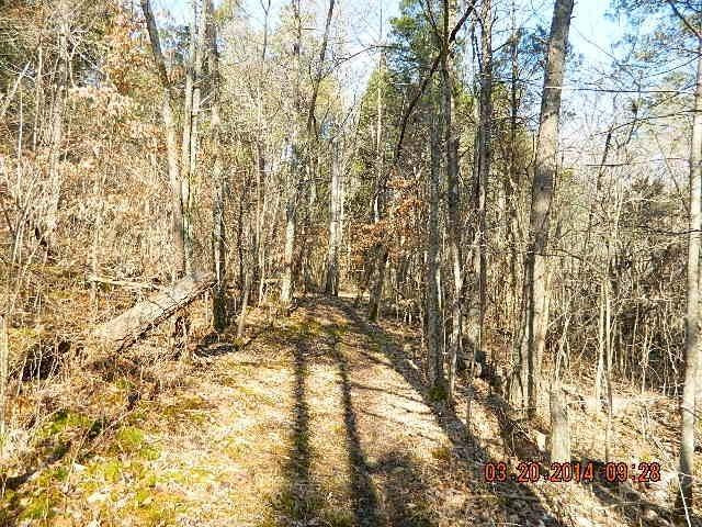 820 New Fox Road Irvine, KY 40336 - Photo 51 of 64 Photo 51