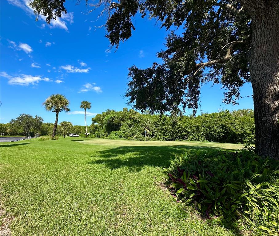 5685 Marina Drive, Unit 4 Sebastian, FL 32958 - Photo 17 of 19 a view of a garden with a tree