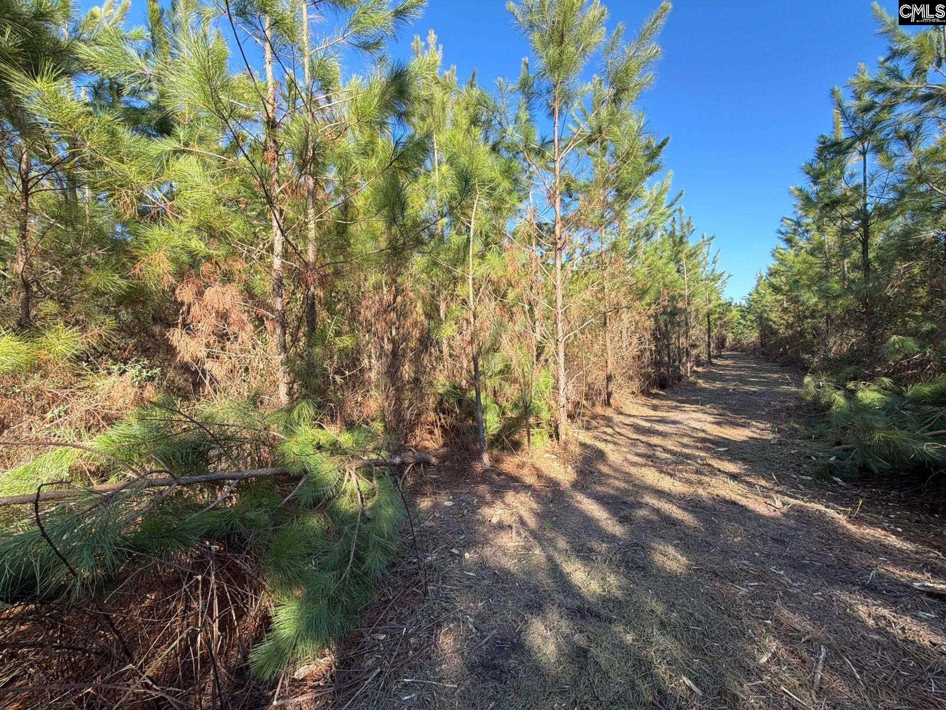 6 Brunson Teal Road, Unit BFF II 6 Patrick, SC 29584 - Photo 12 of 19