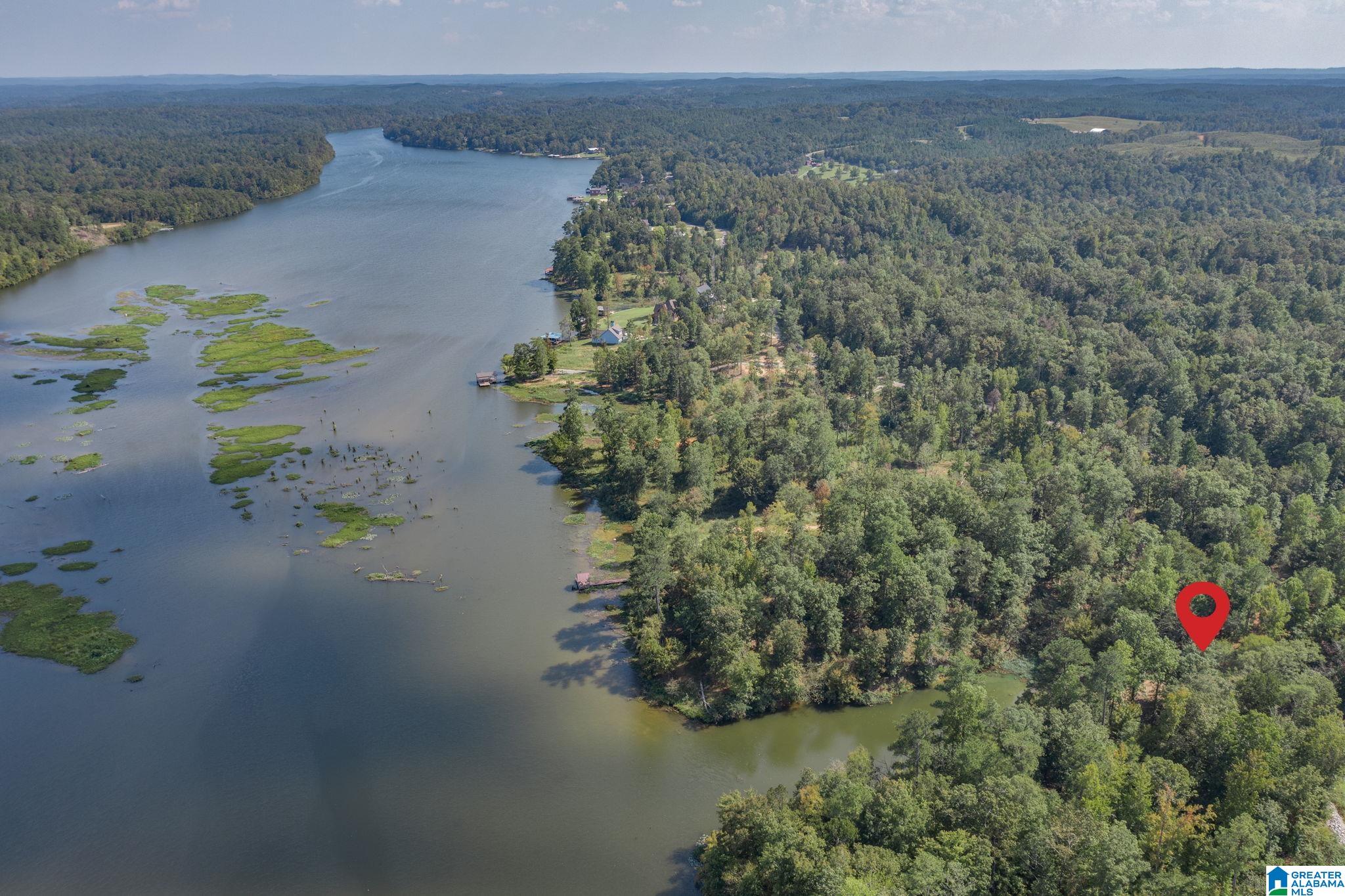 Lot 11 County Road 730, Unit 11 Clanton, AL 35046 - Photo 7 of 14