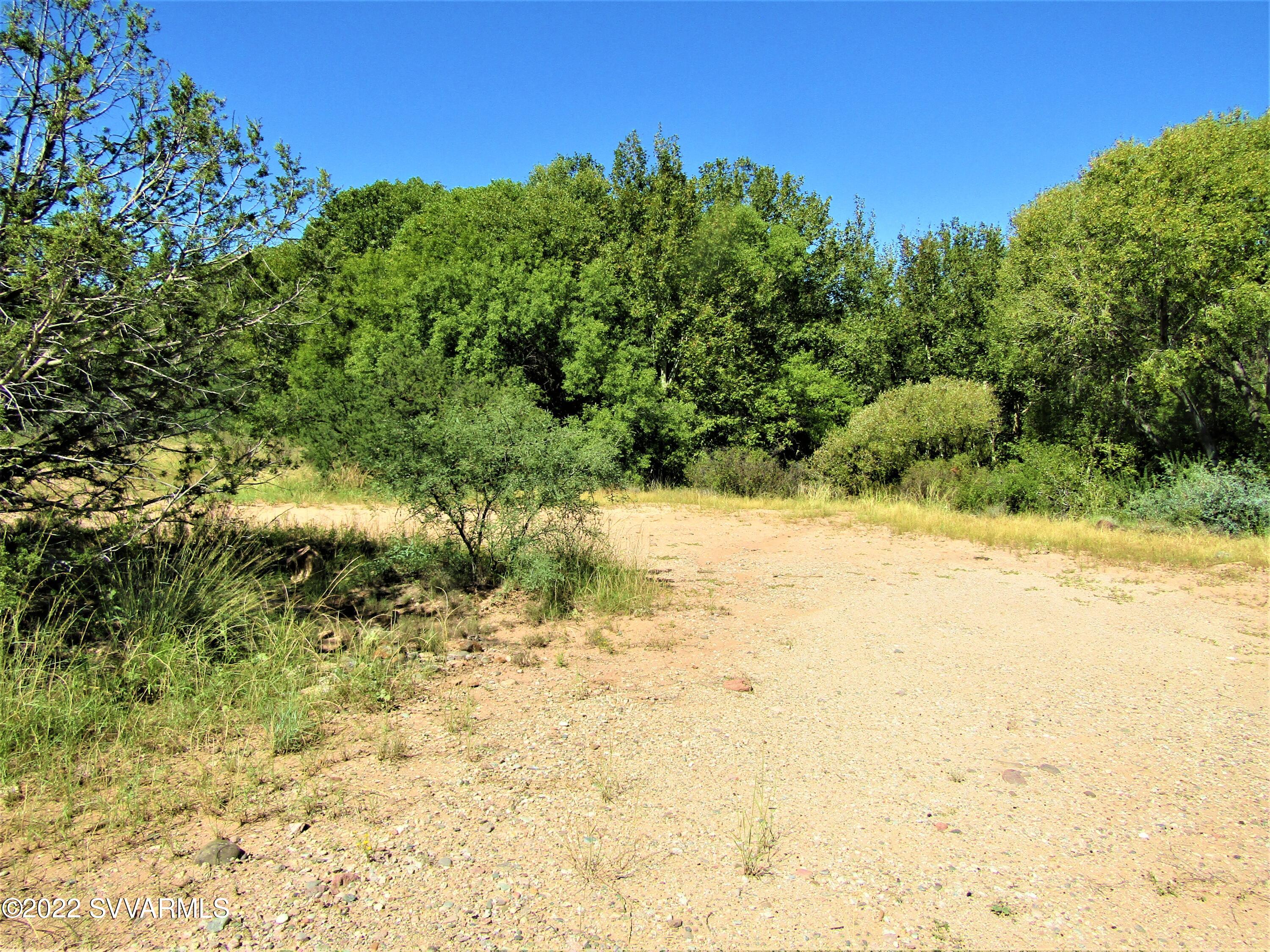 4690 Chipmunk Hollow Rimrock, AZ 86335 - Photo 3 of 12 a view of a yard with a tree