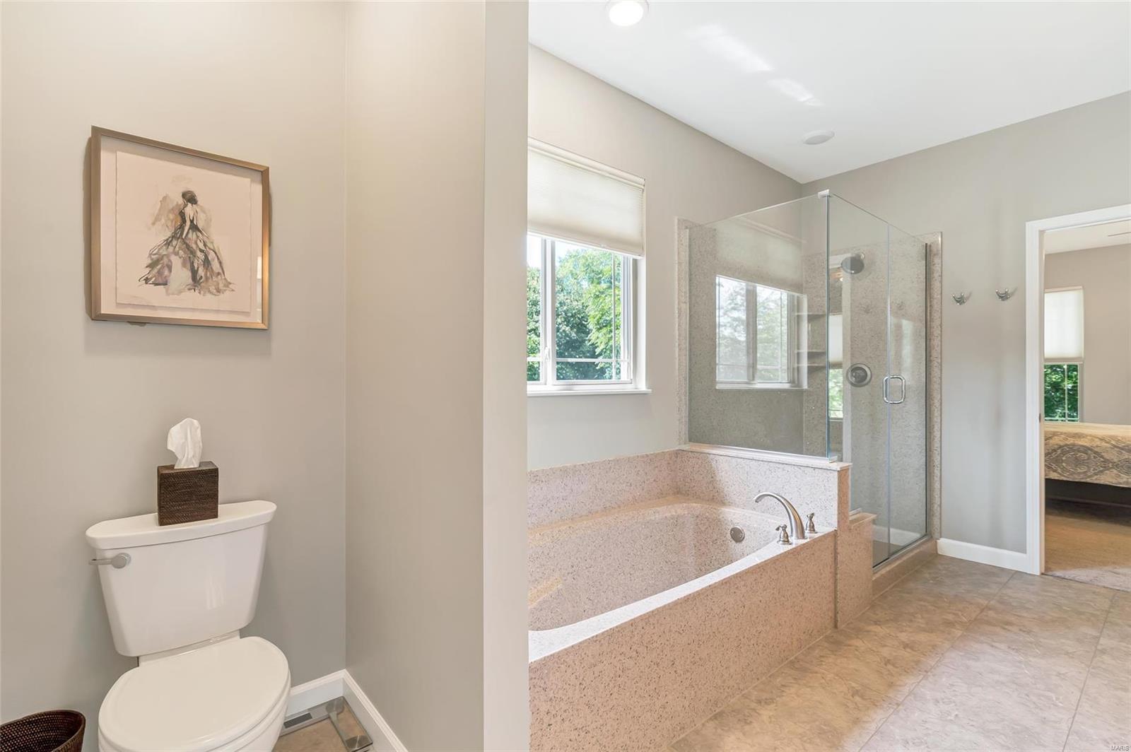3241 Cedar Ridge Lane Waterloo, IL 62298 - Photo 28 of 62
