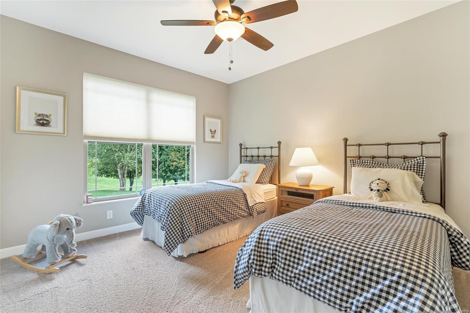 3241 Cedar Ridge Lane Waterloo, IL 62298 - Photo 29 of 62