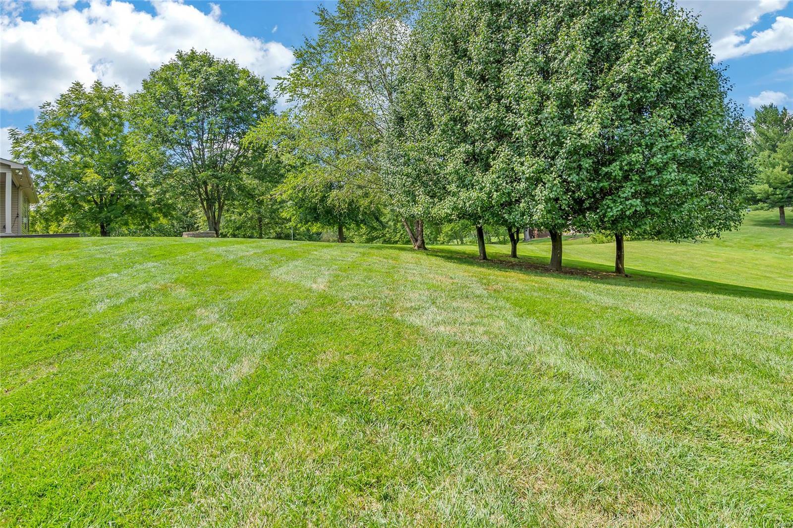 3241 Cedar Ridge Lane Waterloo, IL 62298 - Photo 51 of 62