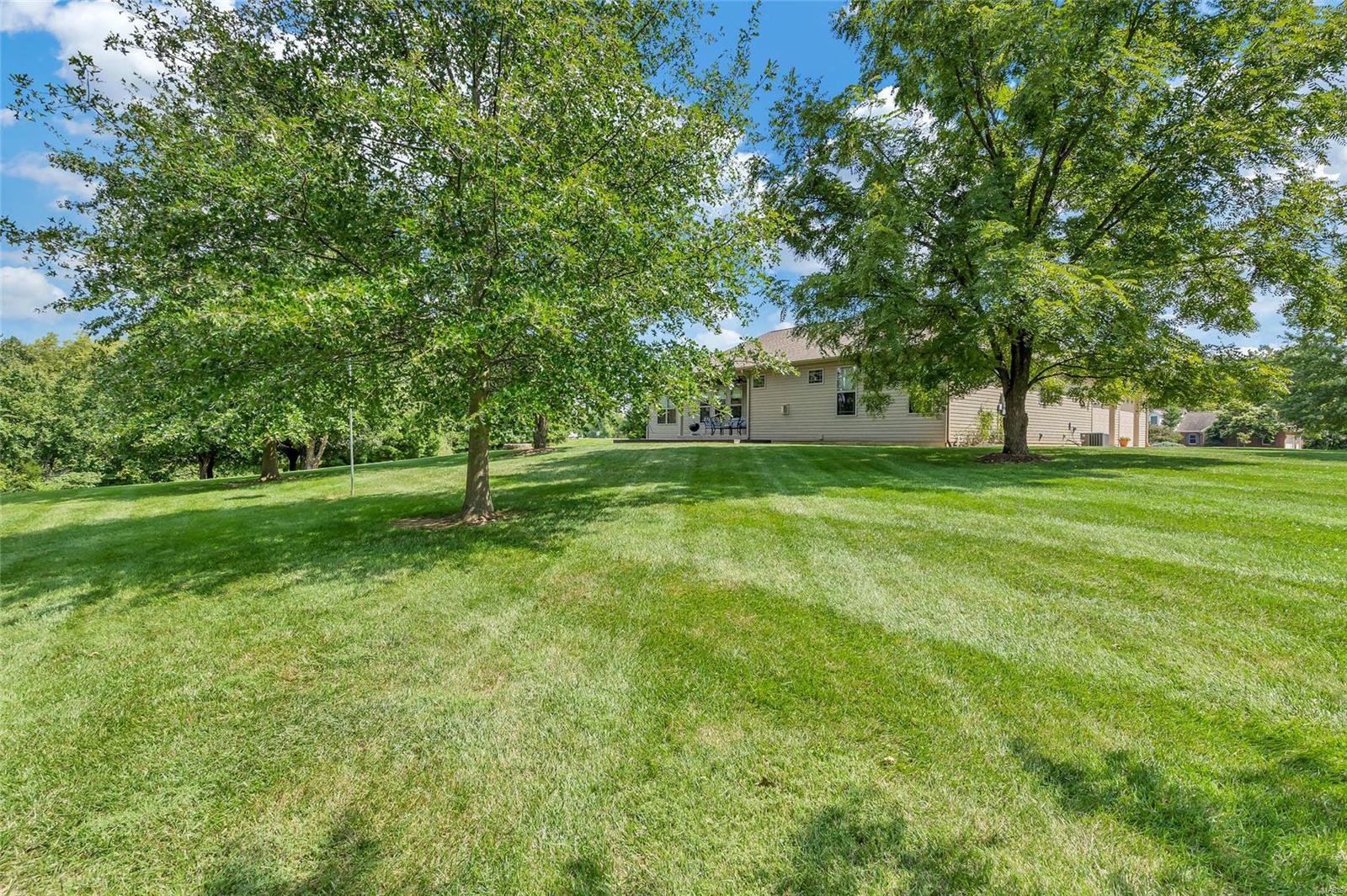 3241 Cedar Ridge Lane Waterloo, IL 62298 - Photo 55 of 62