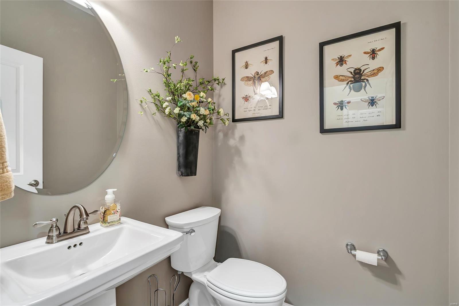 3241 Cedar Ridge Lane Waterloo, IL 62298 - Photo 9 of 62