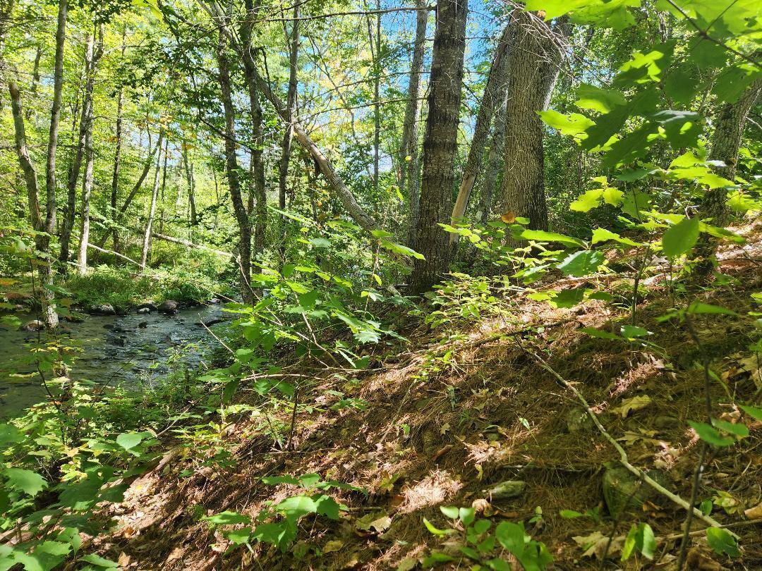 28 Cemetery Road Montville, ME 04941 - Photo 2 of 7 20240909205007023668000000-o