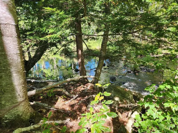 $31,500 | 28 Cemetery Road, Montville, ME 04941