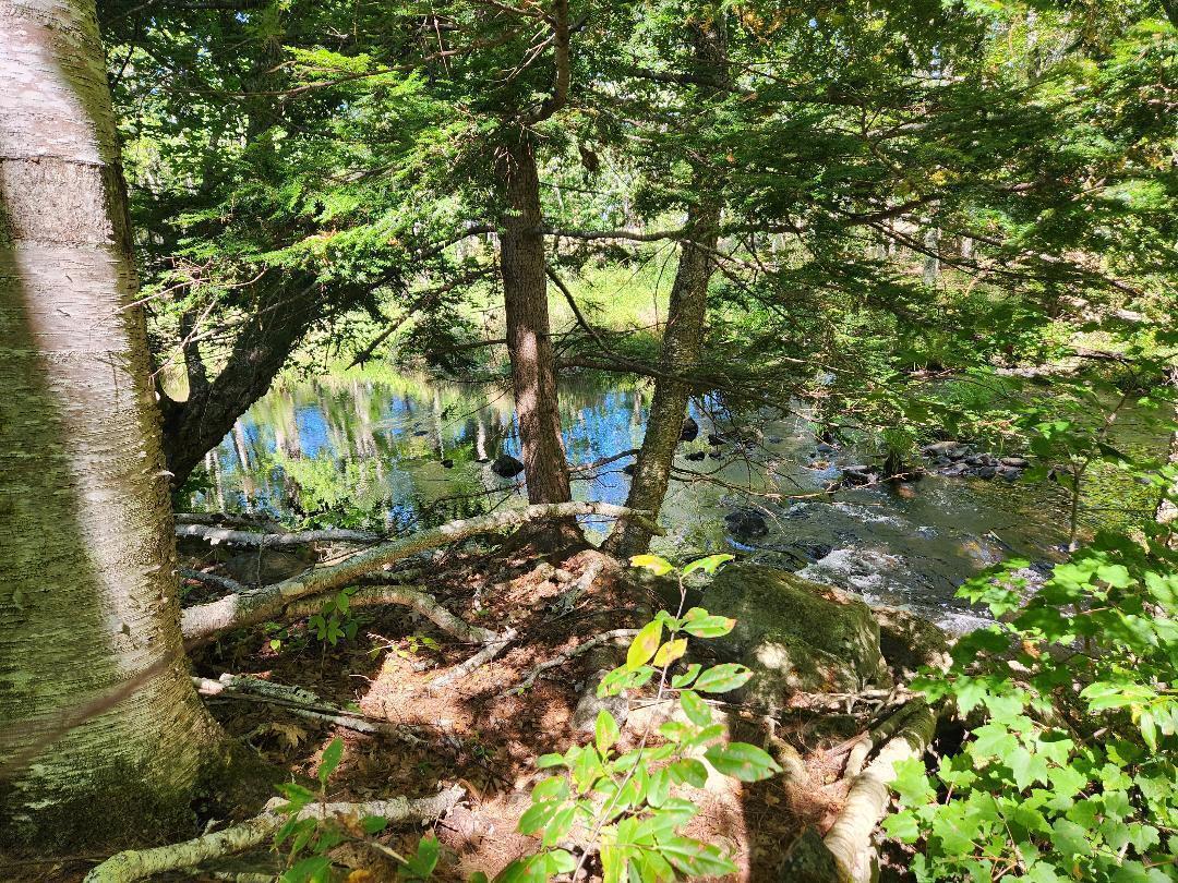 28 Cemetery Road Montville, ME 04941 - Photo 3 of 7 20240909205008718130000000-o