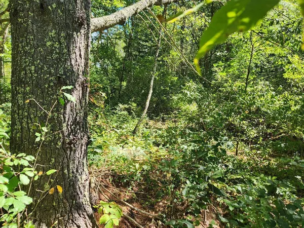 $31,500 | 28 Cemetery Road, Montville, ME 04941