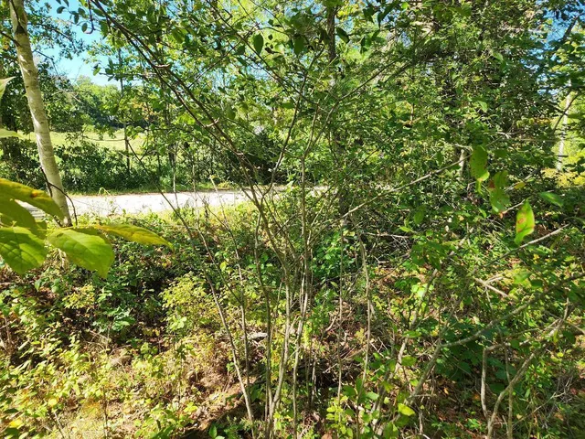 $31,500 | 28 Cemetery Road, Montville, ME 04941