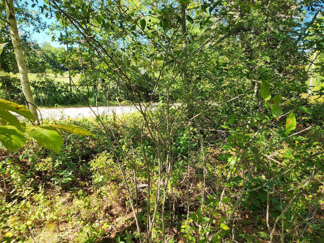 28 Cemetery Road Montville, ME 04941 - Photo 7 of 7 20240909205019337360000000-o