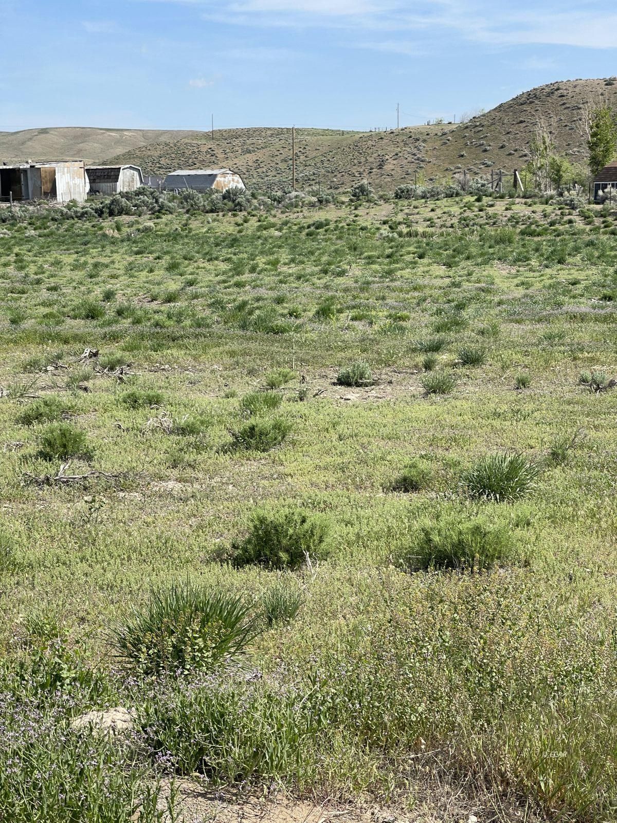 Crow Avenue, Unit 4 Elko, NV 89801 - Photo 2 of 11