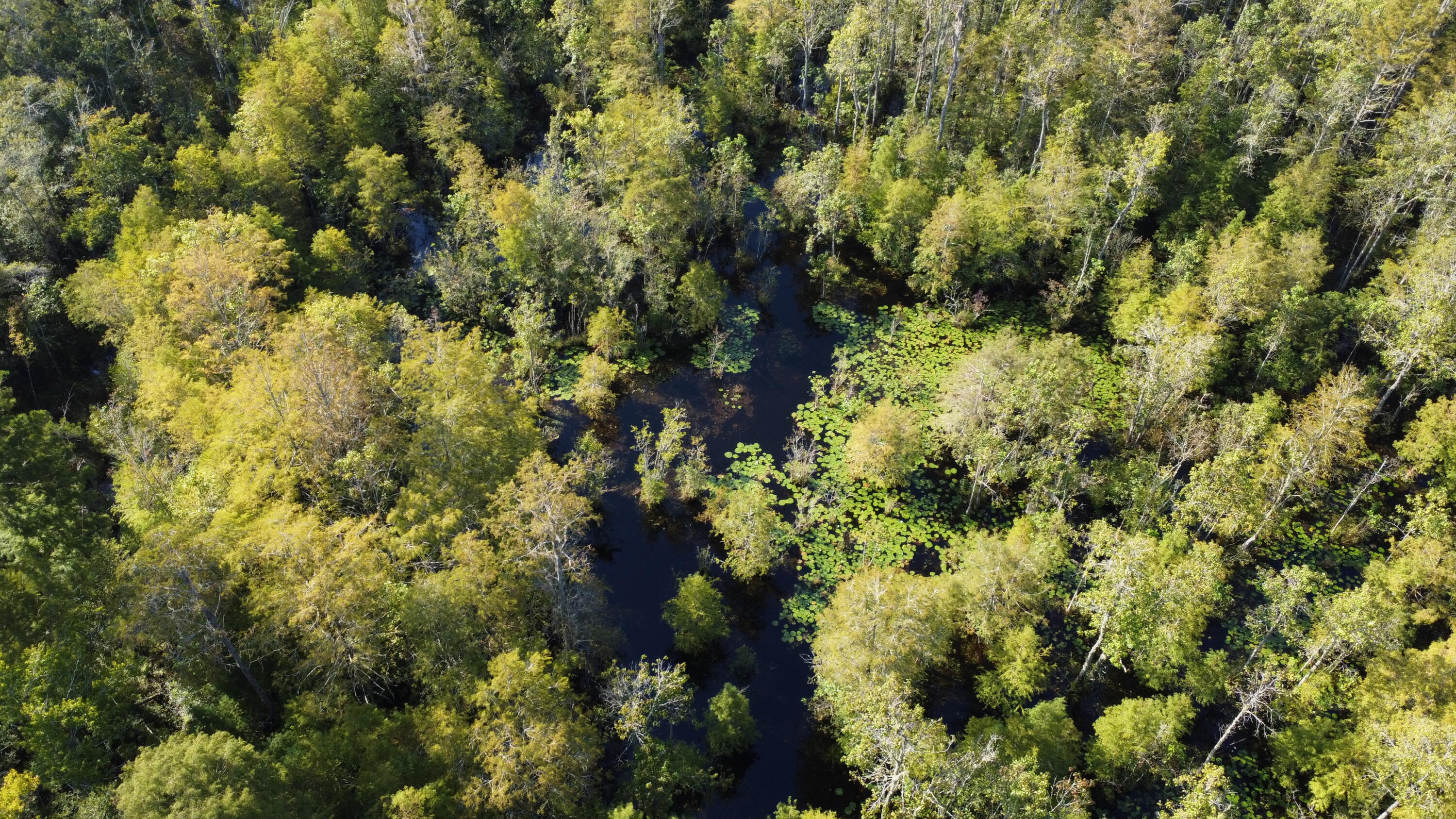 1 Weenee Road Jamestown, SC 29453 - Photo 8 of 8 DJI_0821