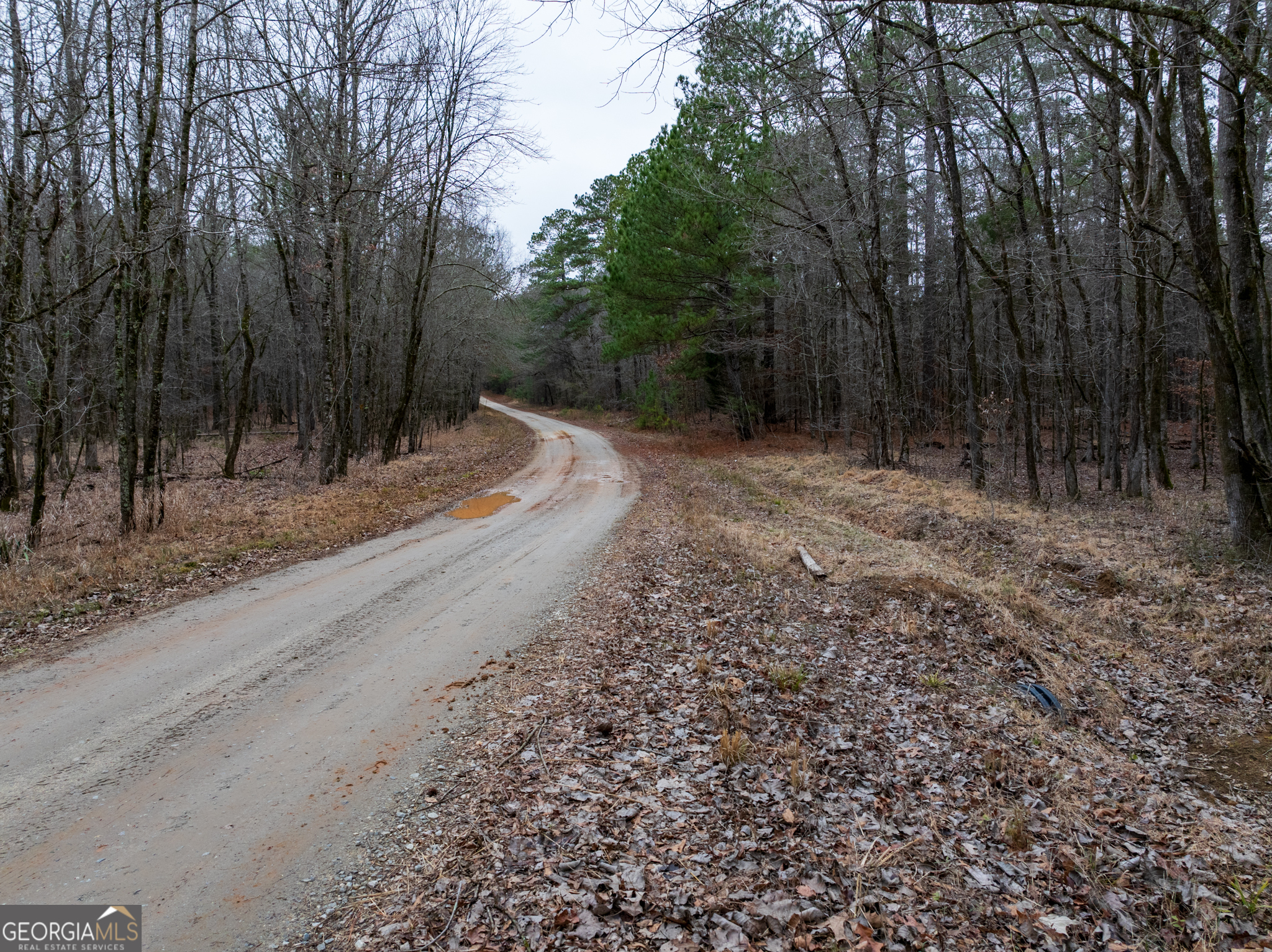 44.61-acres Arnold Caldwell Road Carlton, GA 30627 - Photo 11 of 12