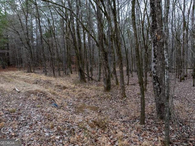 $249,000 | 44.61-acres Arnold Caldwell Road, Carlton, GA 30627