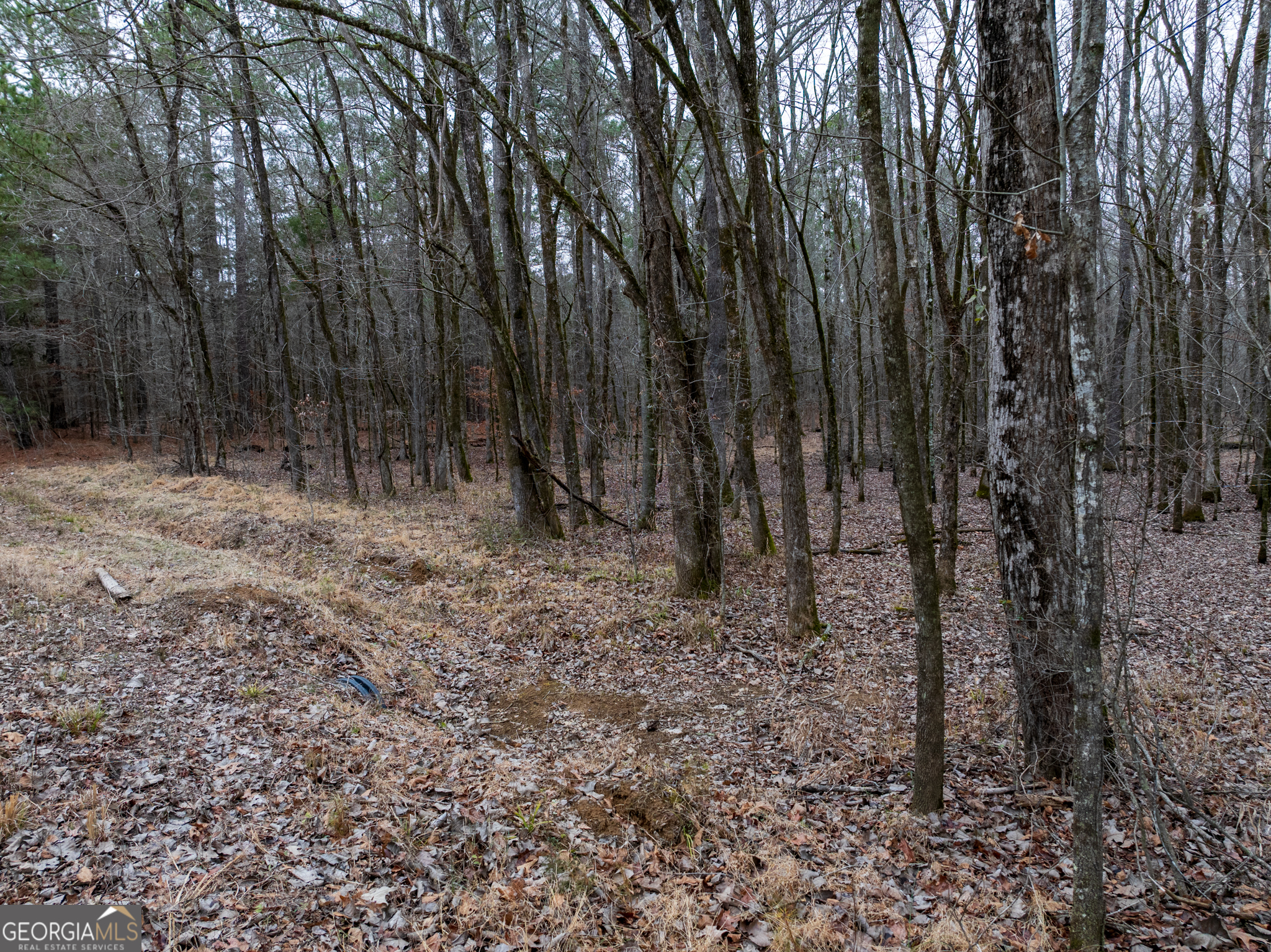 44.61-acres Arnold Caldwell Road Carlton, GA 30627 - Photo 12 of 12