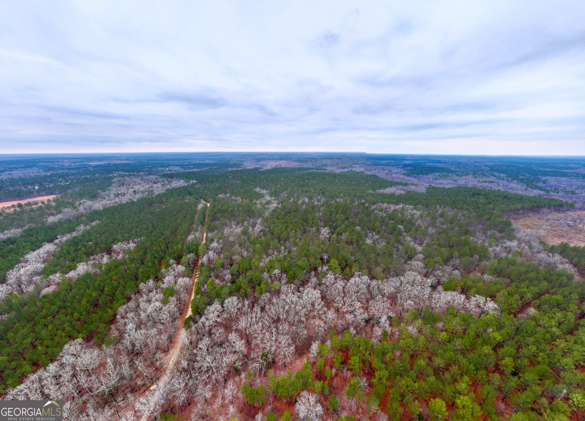 44.61-acres Arnold Caldwell Road Carlton, GA 30627 - Photo 5 of 12