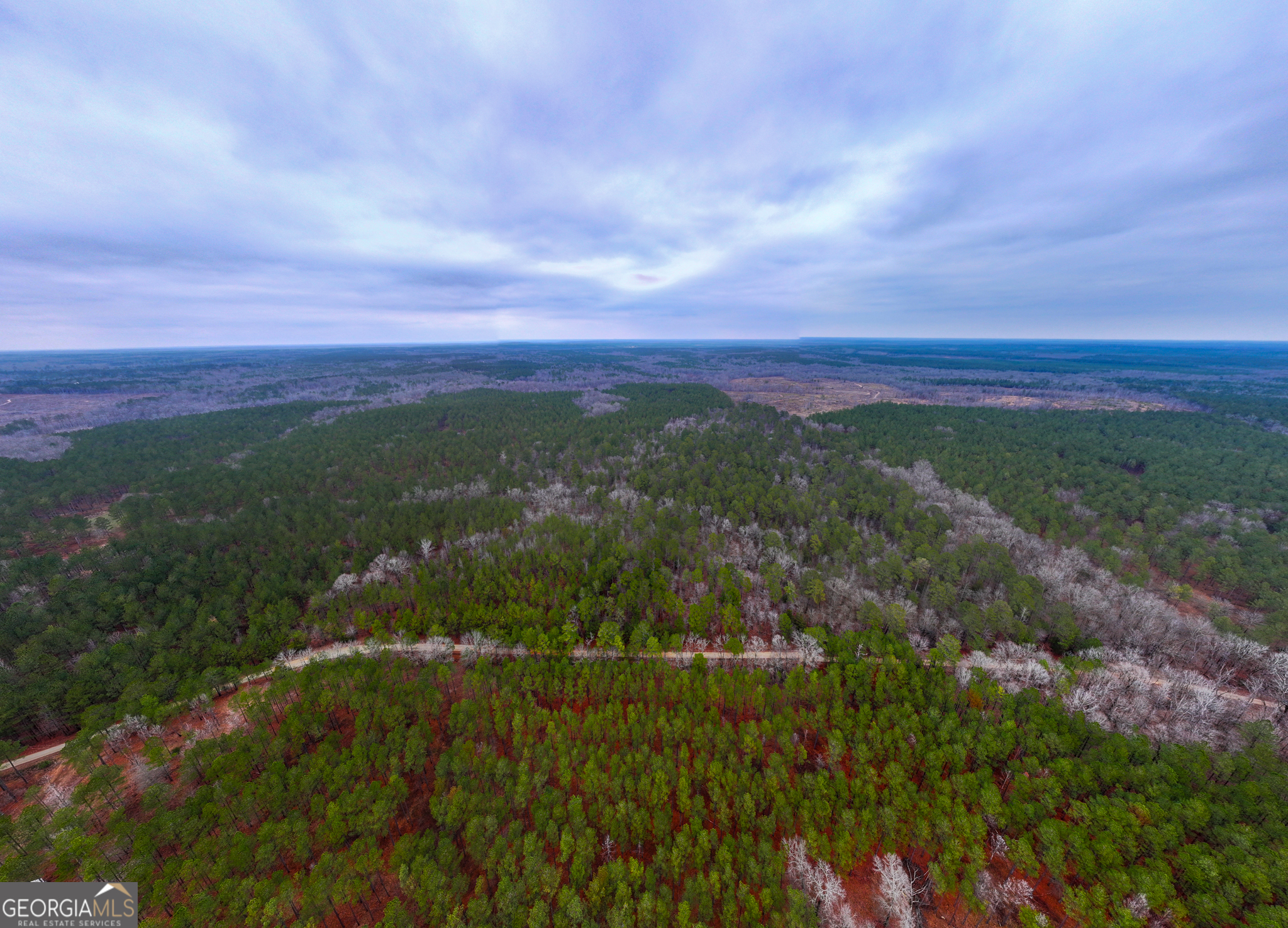 44.61-acres Arnold Caldwell Road Carlton, GA 30627 - Photo 7 of 12