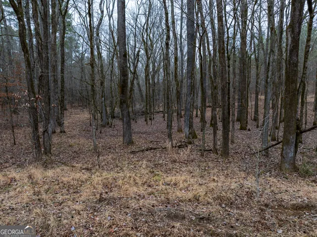 $249,000 | 44.61-acres Arnold Caldwell Road, Carlton, GA 30627