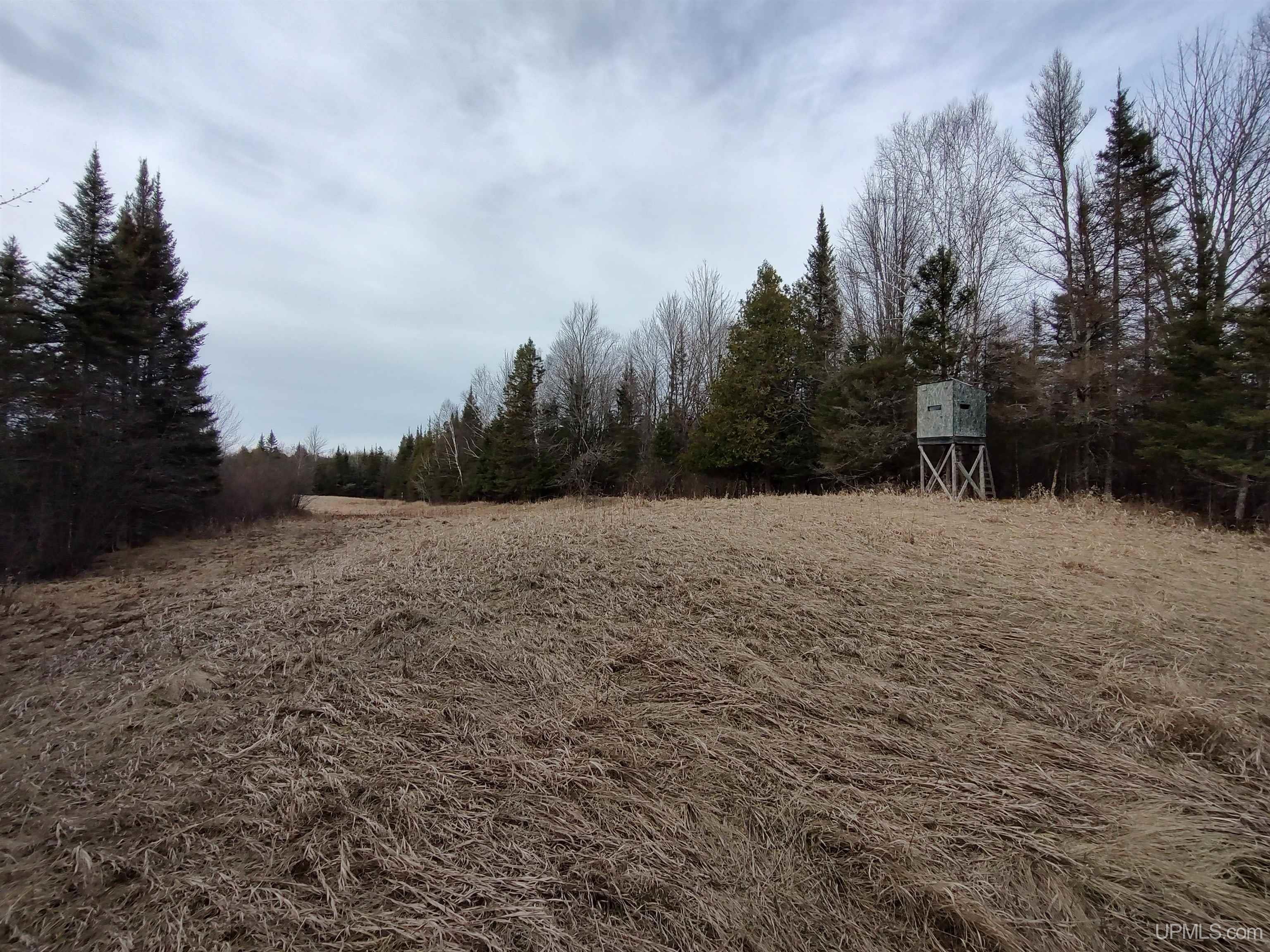 40-acres Trombley 35th Road Rock, MI 49880 - Photo 29 of 62