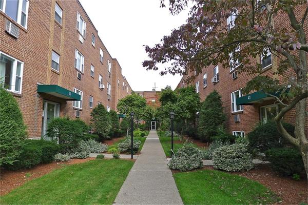 49 Colborne Road, Unit 2 Boston, MA 02135 - Photo 16 of 18 Gallery Image 16