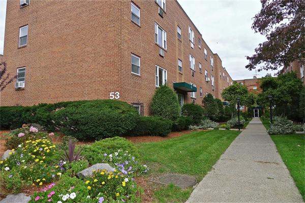 49 Colborne Road, Unit 2 Boston, MA 02135 - Photo 17 of 18 Gallery Image 17