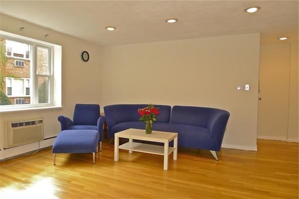 49 Colborne Road, Unit 2 Boston, MA 02135 - Photo 7 of 18 Gallery Image 7