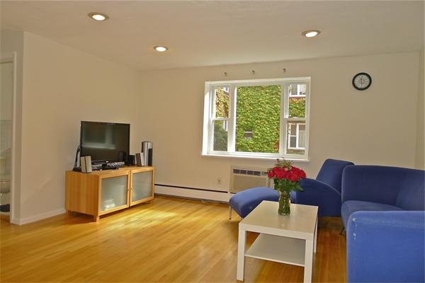 49 Colborne Road, Unit 2 Boston, MA 02135 - Photo 8 of 18 Gallery Image 8