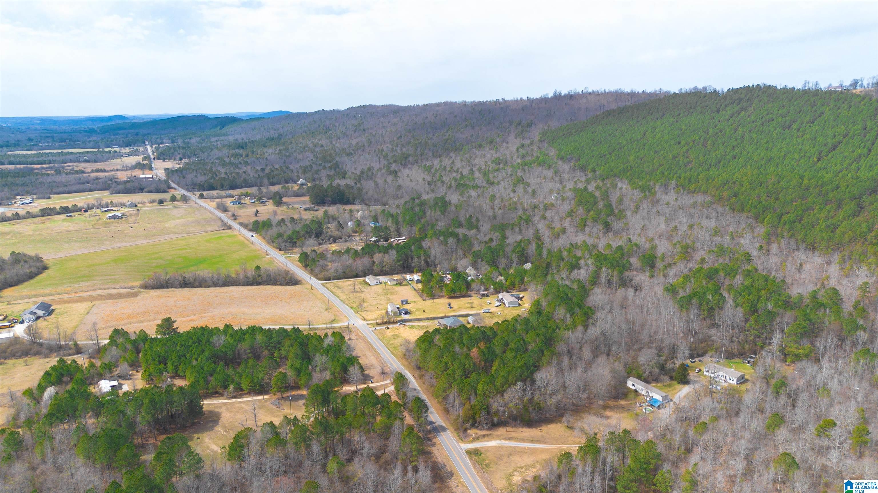 0 Shoal Creek Road Ashville, AL 35953 - Photo 8 of 10