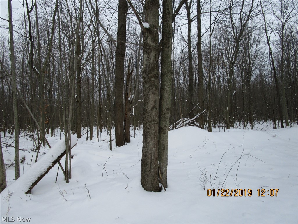 V / L Corrigan Road Rome, OH 44085 - Photo 9 of 11
