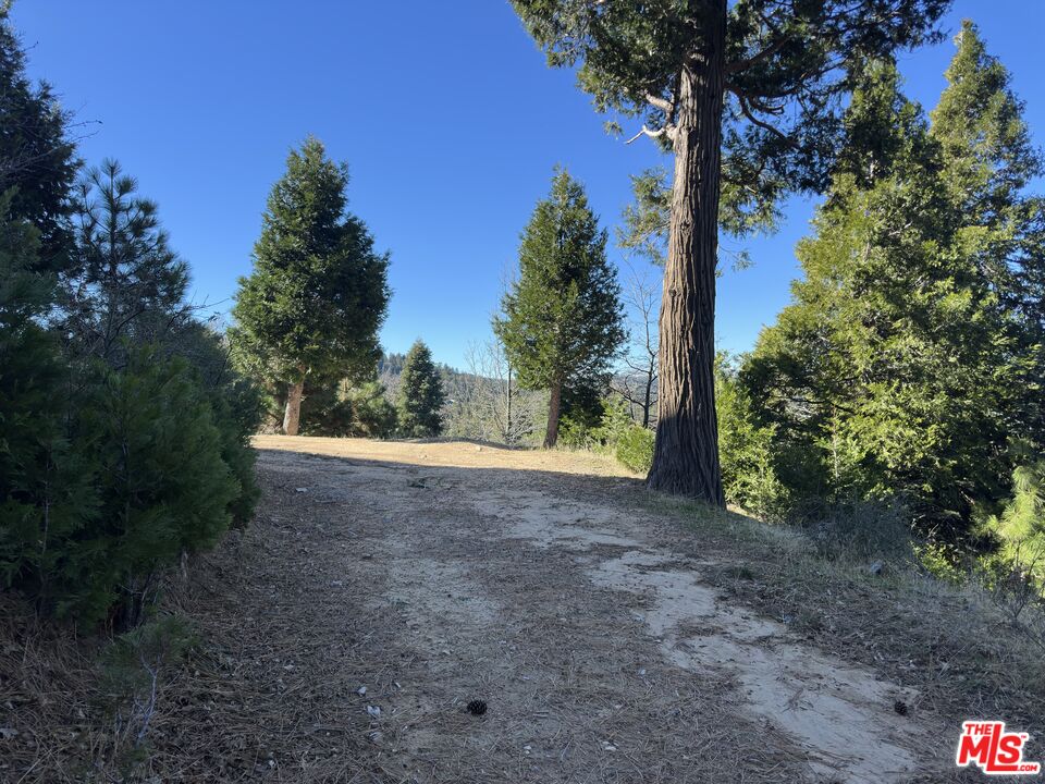 101 Mill Pond Road Lake Arrowhead, CA 92352 - Photo 2 of 19