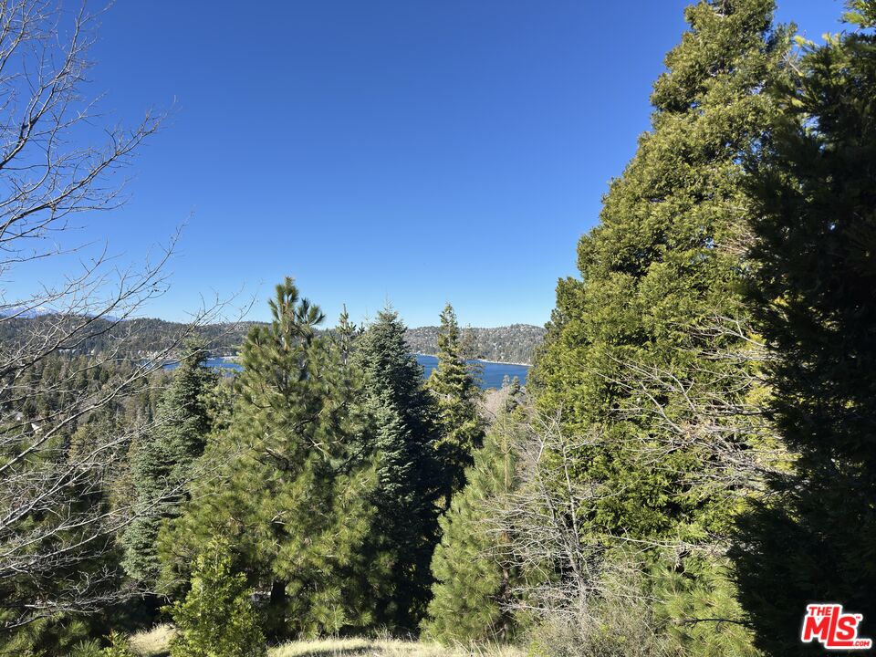 101 Mill Pond Road Lake Arrowhead, CA 92352 - Photo 3 of 19