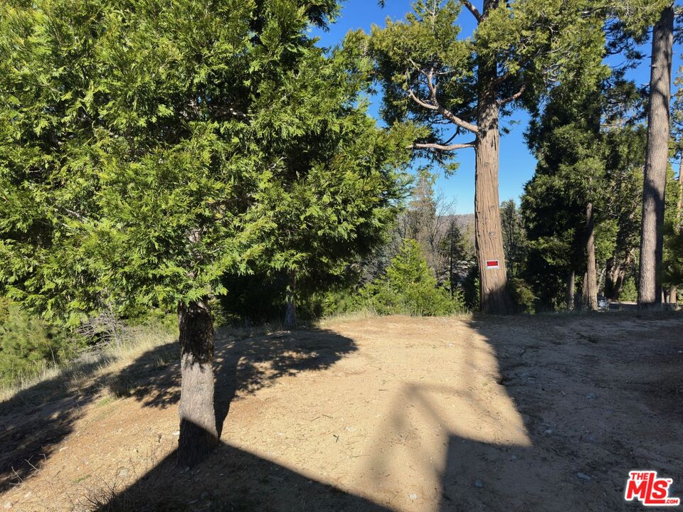 101 Mill Pond Road Lake Arrowhead, CA 92352 - Photo 4 of 19